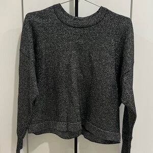 Glittery Shiny Levi Crewneck Sweatshirt